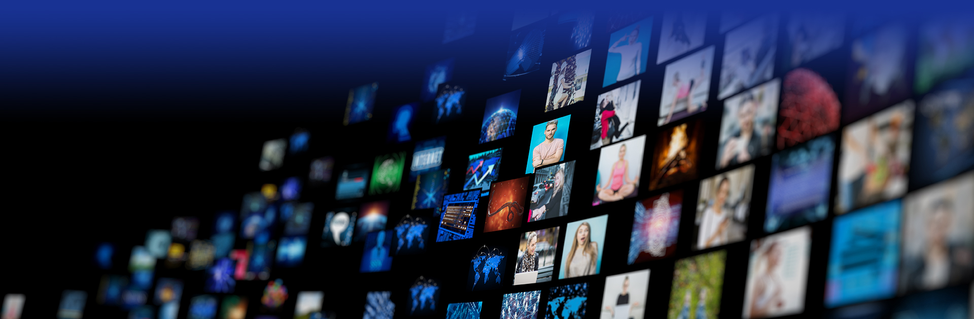 Provide One-Stop Customized Services